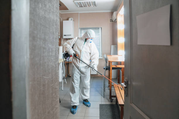 Asbestos and Lead Testing During Mold Inspection in Brookside, DE